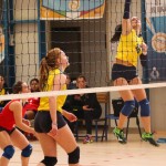 Zalet Barich B - Torriana