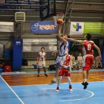 Jadran – Falconstar