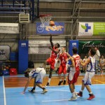 Jadran – Falconstar