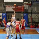 Jadran – Falconstar