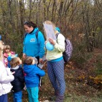 Jesenski pohod na Kokoš