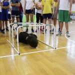 4. etapa Šolskega jezikovnega poligona