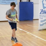 4. etapa Šolskega jezikovnega poligona