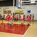 Sokol - Božičnica 2017
