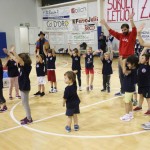 Sokol - Božičnica 2017