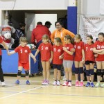 Sokol - Božičnica 2017