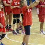 Sokol - Božičnica 2017