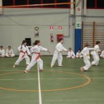 Božičnica
