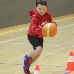 Sokol - Božičnica 2017