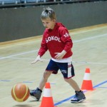 Sokol - Božičnica 2017