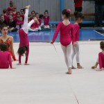 Borova božična akademija