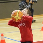 Sokol - Božičnica 2017