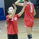 Sokol - Božičnica 2017