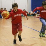Sokol - Božičnica 2017