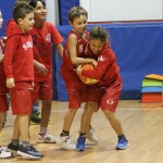 Sokol - Božičnica 2017