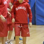 Sokol - Božičnica 2017