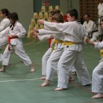 Božičnica