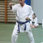 Božičnica