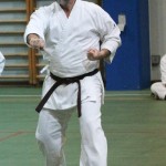 Božičnica