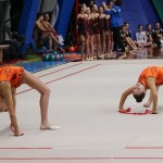 Borova božična akademija