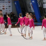 Borova božična akademija