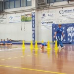 AŠZ Olympia - Božičnica