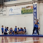 AŠZ Olympia - Božičnica