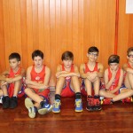 Novoletna akademija AŠZ Dom