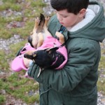 Kras Repen - Primorec