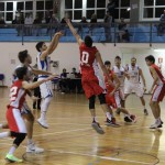 Jadran Ispem - Padova