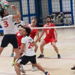 Coselli Sloga Tabor Gostilne Gelmo – Olympia