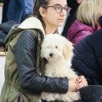 Coselli Sloga Tabor Gostilne Gelmo – Olympia