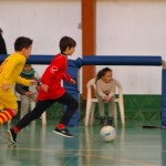 Zimski nogometni pokal ZSŠDI