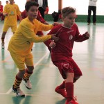 Zimski nogometni pokal ZSŠDI