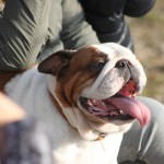 Primorec-San Giovanni