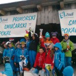 Pokal Javornika