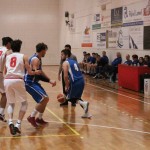 Falconstar – Jadran Ispem