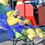 21. Sovodenjski pust