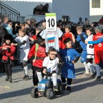 21. Sovodenjski pust