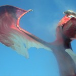 21. Sovodenjski pust