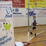 Skokični vrtiljak