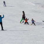 Skokica smuča