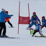 Skokica smuča