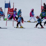 Skokica smuča