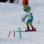 Skokica smuča