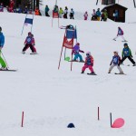 Skokica smuča