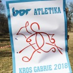 Tekaški kros za nižje srednje šole s slovenskim učnim jeziko