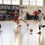 Jadran Ispem - Verona