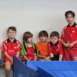 Vikend namizni tenis