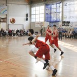 Jadran Ispem - Verona